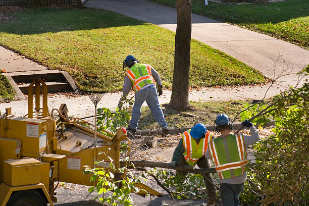 Mulching Services in St Anthony, MN